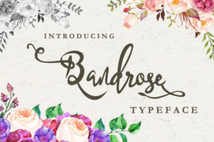 Bandrose Family: A Warm, Handcrafted Typeface