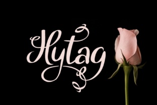 Integrating Hytag into Your Creative and Professional Process