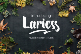 Lariess: A Brush Stroke of Modern Style
