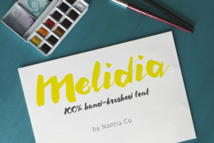 Melidia: The Human Touch in Digital Design