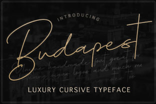 The Budapest Font Family: Versatility for the Modern Creator