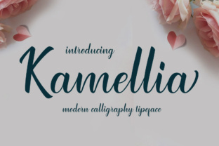 The Kamellia Typeface: Integrating Modern Elegance into Creative Workflows